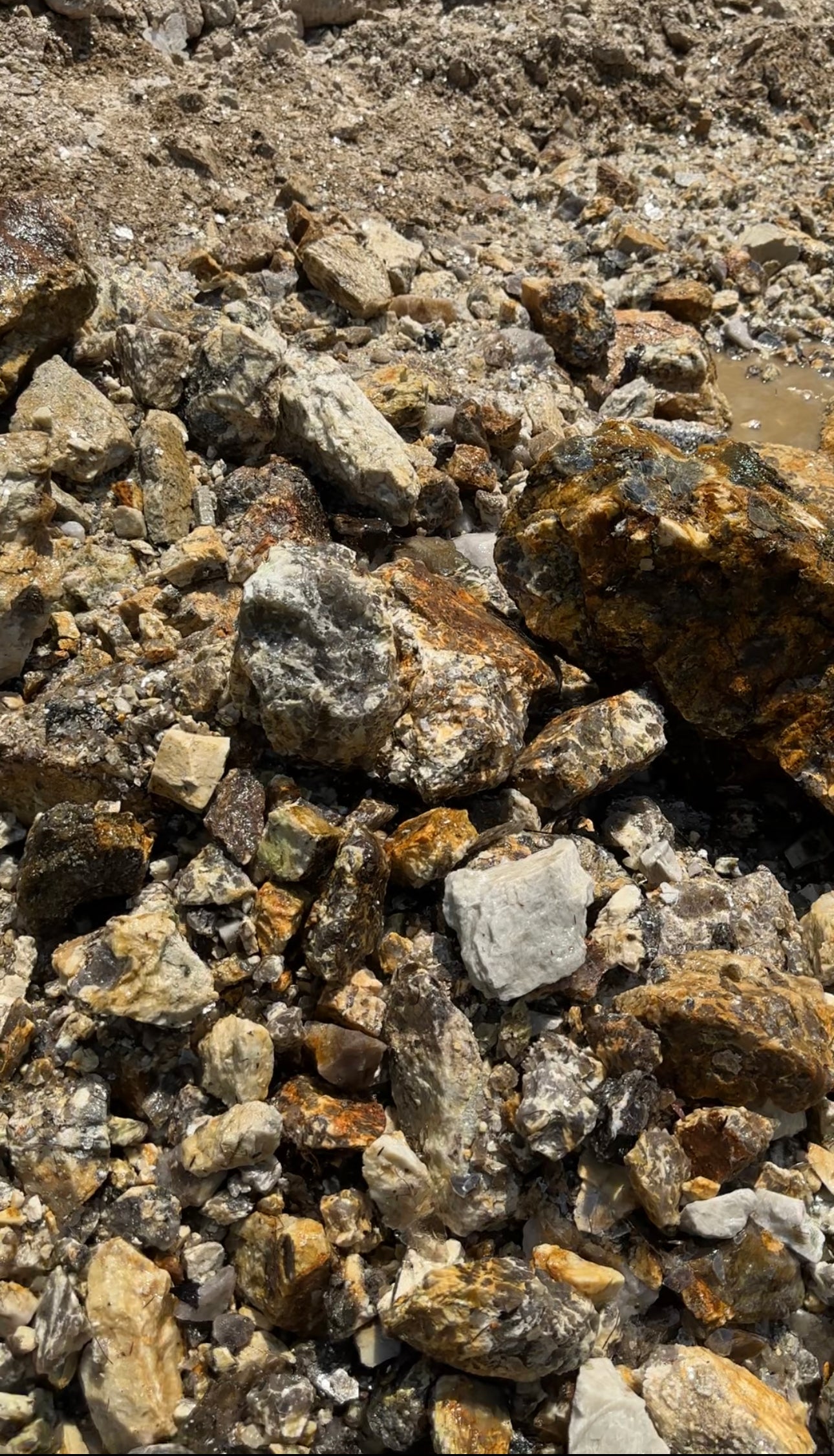 Crystal Collecting Trips