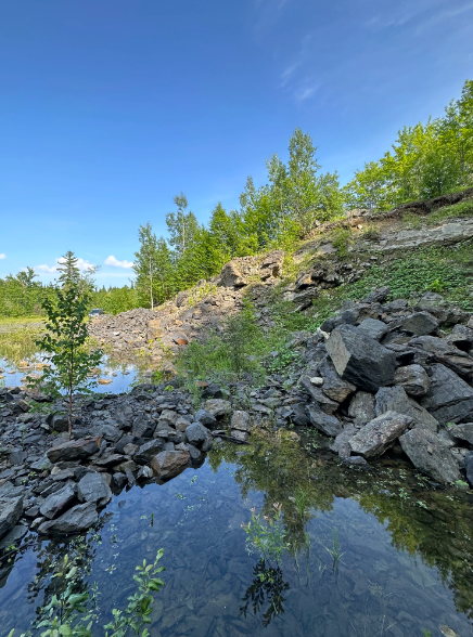 Moosehead Fossil Hunt