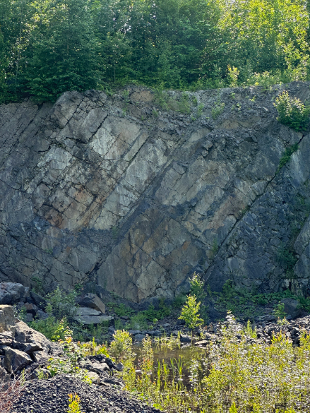 Moosehead Fossil Hunt