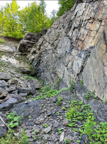 Moosehead Fossil Hunt